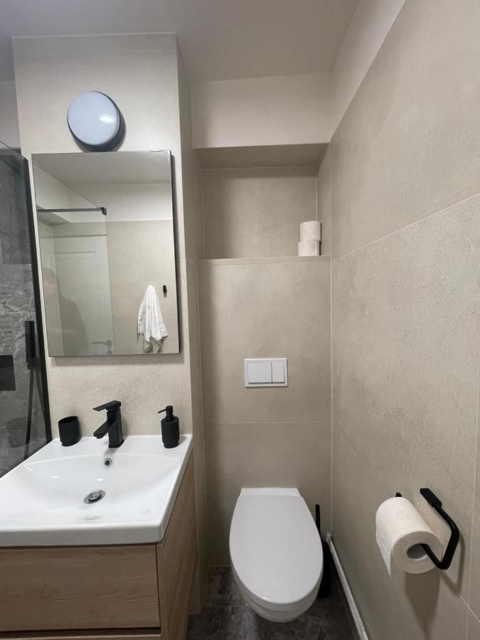 Apartament Mony Timişoara Extérieur photo
